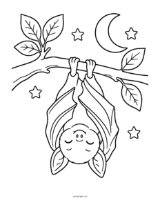 Line drawing: a round little bat naps upside down from a leafy branch under the moon.